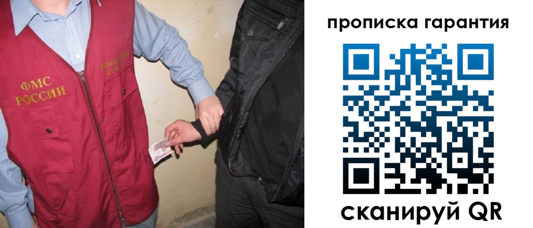 прописка для школы в Павловске