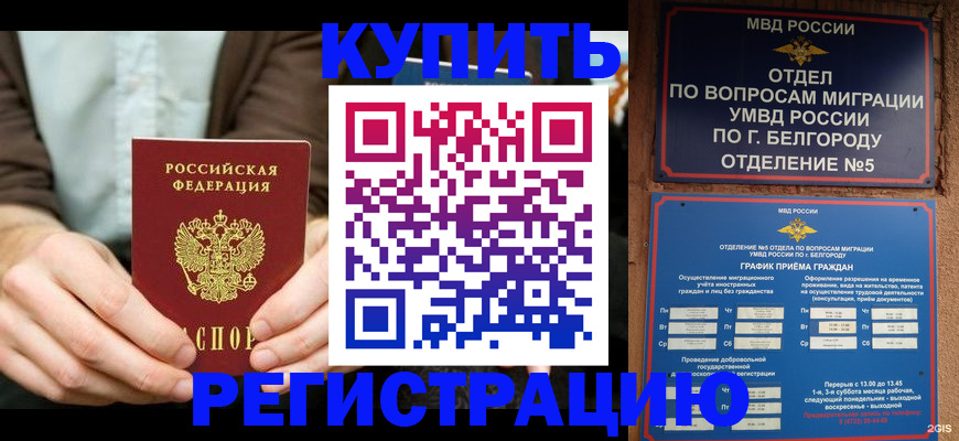прописка 2025 в Павловске